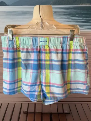 Adorable Plaid Cotton Pastel Pajama Shorts Women’s Large thumbnail 3