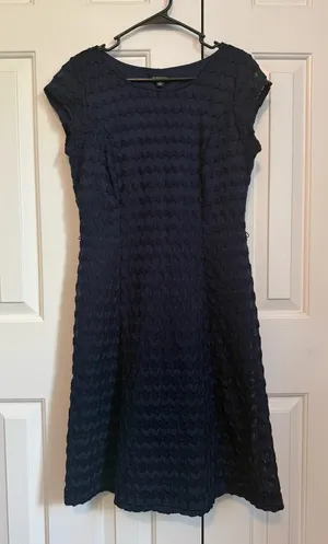 Navy Textured Fit & Flare Dress thumbnail 1
