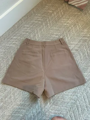 Showpo Tailored High Waisted Shorts thumbnail 3
