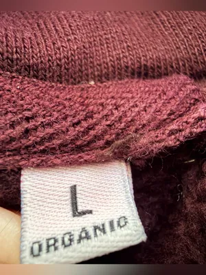 Colorful Standard Organic Oversized Hoodie in Oxblood Red Large thumbnail 10