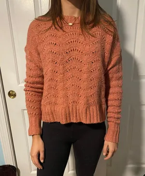 American Eagle Pink Sweater thumbnail 1