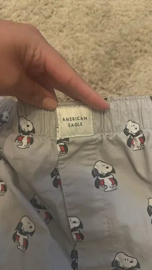 American Eagle Outfitters Boxers thumbnail 3