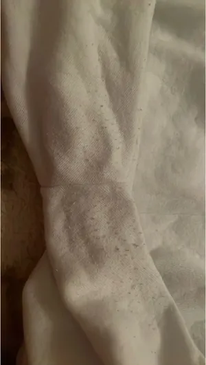 Aviator Nation Sweatpants Bolt thumbnail 2