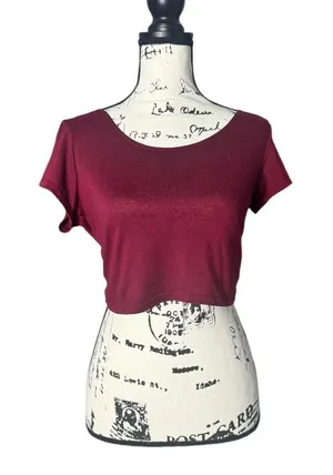 Dynamite Burgundy Short Sleeve Crop Top - Size S thumbnail 1