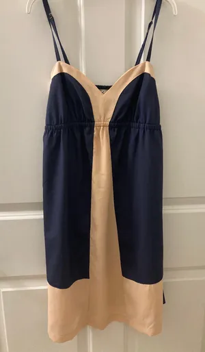 Silk Slip Dress thumbnail 1