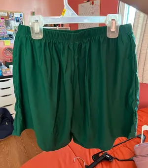 Green Vintage Running Shorts thumbnail 1