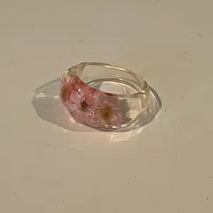 4 Resin Dings of Lemons, Watermelons and Dried Flowers thumbnail 6