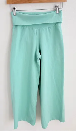 Brandy melville Teal capri Priscilla pants thumbnail 1