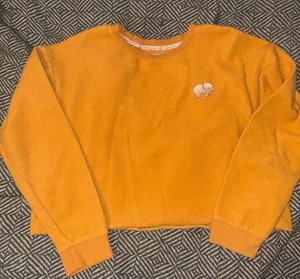 Ivory Ella Mustard Cropped Sweatshirt thumbnail 1