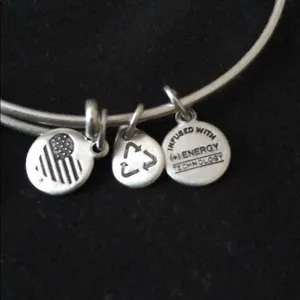 Pre-owned Alex and Ani Path of Life Charm Bracelet thumbnail 3
