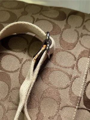 Coach Women’s Sutton Signature Python Swingpack Crossbody Bag thumbnail 14
