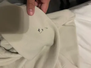 Carhartt Hoodie Women’s thumbnail 4