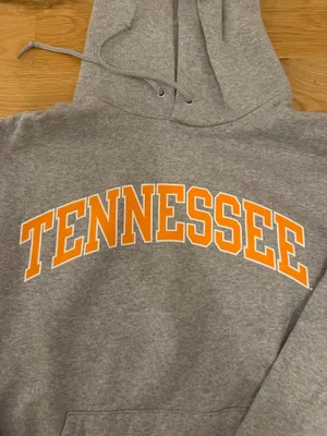 Tennessee Champion Hoodie thumbnail 2