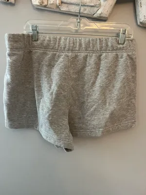 The North Face Gray Sweat Shorts thumbnail 3