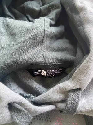 North Face Hoodie thumbnail 3