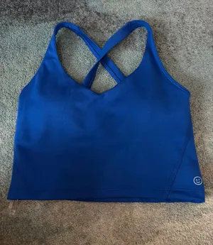 Royal Blue Medium Gilly Hicks Athletic Top thumbnail 1