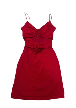 Red Windsor Mini Dress thumbnail 1