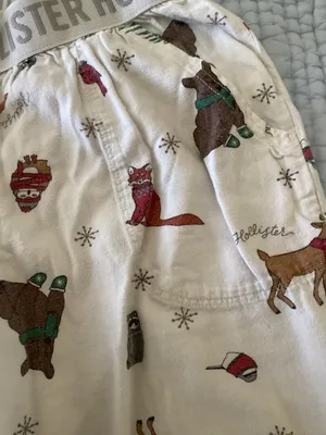 Hollister Pj Pants thumbnail 3