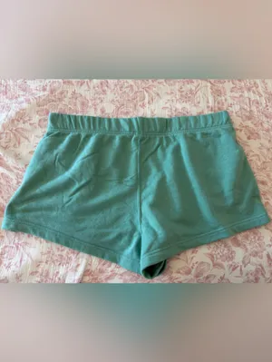 The North Face Women's Half Dome Fleece Shorts Blue Size XXL 2'' cotton blend thumbnail 2