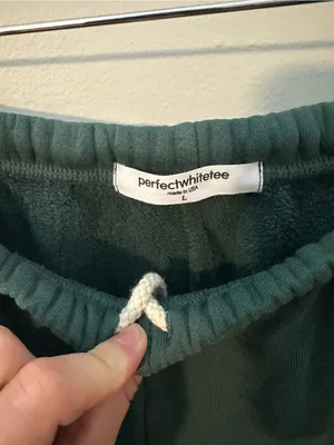PerfectWhiteTee Fleetwood jogger sweatpants green large thumbnail 3