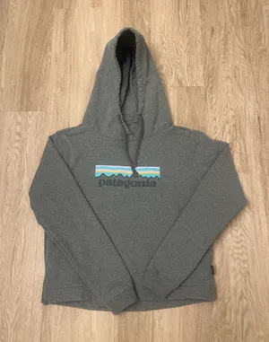 patagonia sweatshirt  thumbnail 1