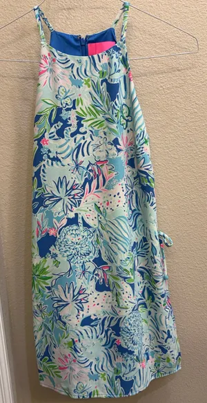 Lilly Pulitzer Dress Blue thumbnail 1