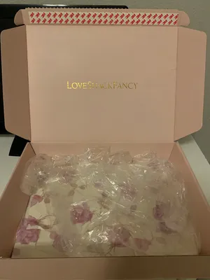 Loveshackfancy Kerrigan Mini Dress thumbnail 7