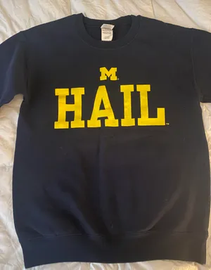 Gildan Michigan Sweatshirt thumbnail 1