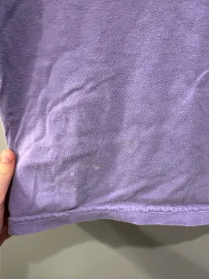 Comfort Colors Go Go Phi Mu Bid Day Tee thumbnail 7