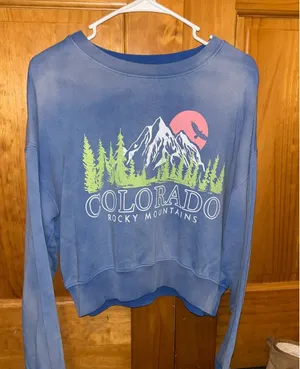 Forever 21 Cropped Crewneck thumbnail 1