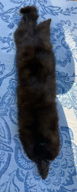 Vintage Full Body Mink Fur Stole Wrap Scarf Real Brown Fur 21” w/ Face Tail Legs thumbnail 1