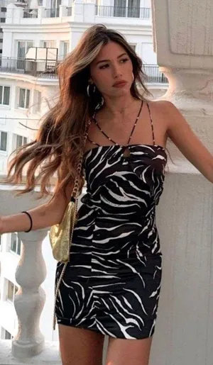 ZARA Animal Print Dress thumbnail 1