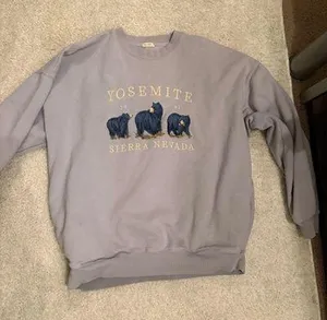 Brandy Melville Sweatshirt  thumbnail 1