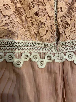 ASOS DESIGN rose Victorian-inspired Pleated Lace Dream Mini Dress 6 thumbnail 18