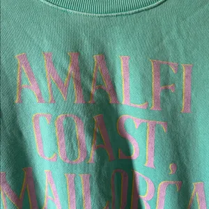 Z‎ SUPPLY Womens Sunday Destination Sweatshirt in Cabana Green Size Med thumbnail 5