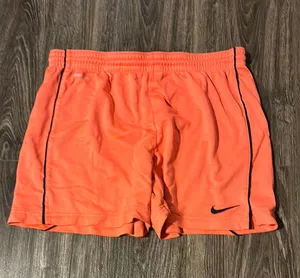 Nike Dri-Fit Shorts thumbnail 1