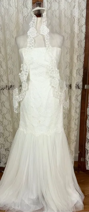 Gorgeous Galina Strapless Tulle Wedding Gown & Veil thumbnail 1