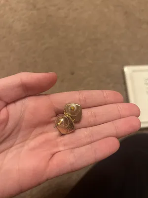 Victoria Lynn Earrings Gold thumbnail 2