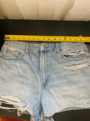 American Eagle Outfitters Women's Size 12 Shorts thumbnail 4