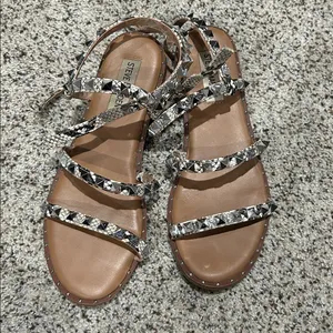 Steve Madden Snakeskin and Brown Women's Sandals thumbnail 4