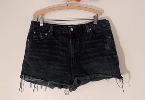 Urban Outfitters BDG Girlfriend High Rise Shorts thumbnail 1