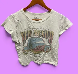 Cute Hollister crop New Mexico cap sleeve baby t-shirt scoop neck thumbnail 1