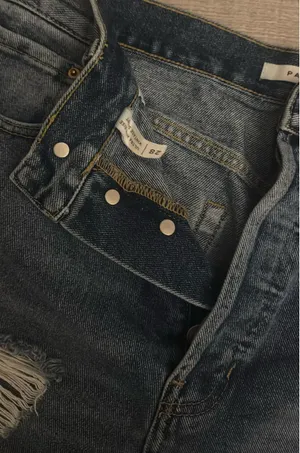PacSun Shorts thumbnail 2