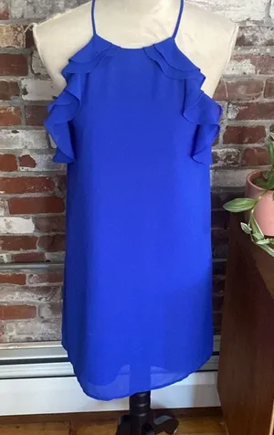 Naked Zebra Royal Blue Ruffle shift Dress Size S NWT thumbnail 1