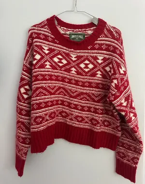 Vintage American Eagle Sweater thumbnail 1