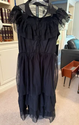 Wednesday Adams Raven Dance Costume Dress thumbnail 1