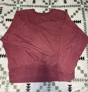 American Eagle Outfitters Sweatshirt Cropped Crewneck thumbnail 1