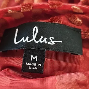 Lulu's -1722 Born To Be Wild Rust Red Leopard Print Velvet‎ Mesh Bodysuit Medium thumbnail 4