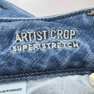 American Eagle Outfitters Light Wash Super Stretch Artist Crop - Size: 6 thumbnail 6