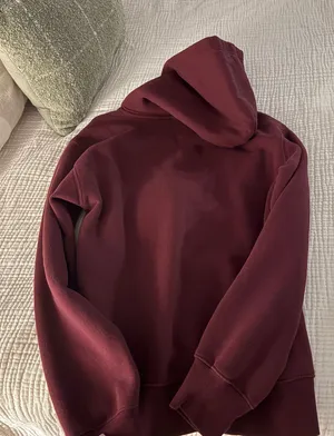 Aritzia Hoodie thumbnail 1